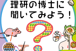 理研の博士に聞いてみよう！のコンテンツイメージ画像