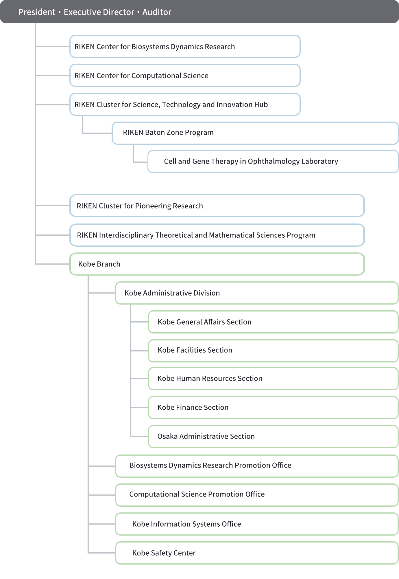 organization chart