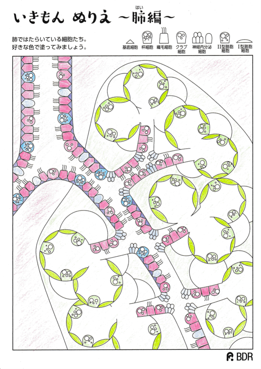 その他の応募作品7