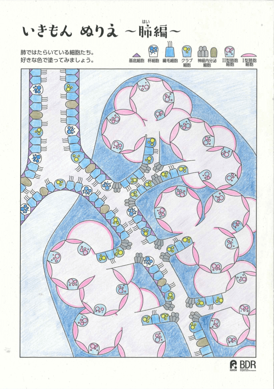 その他の応募作品32