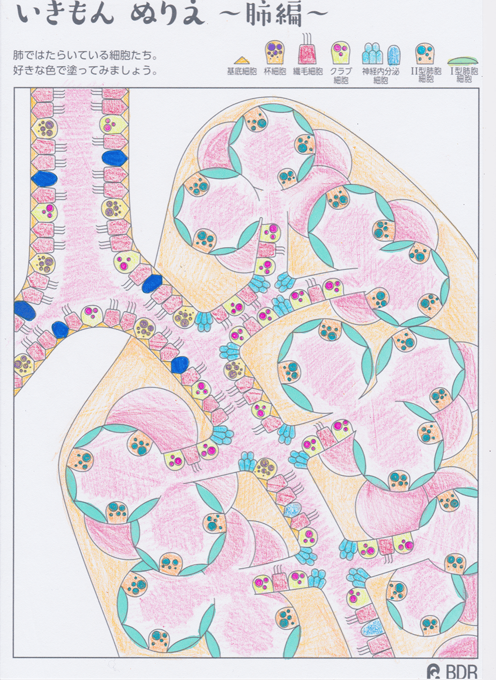 その他の応募作品44