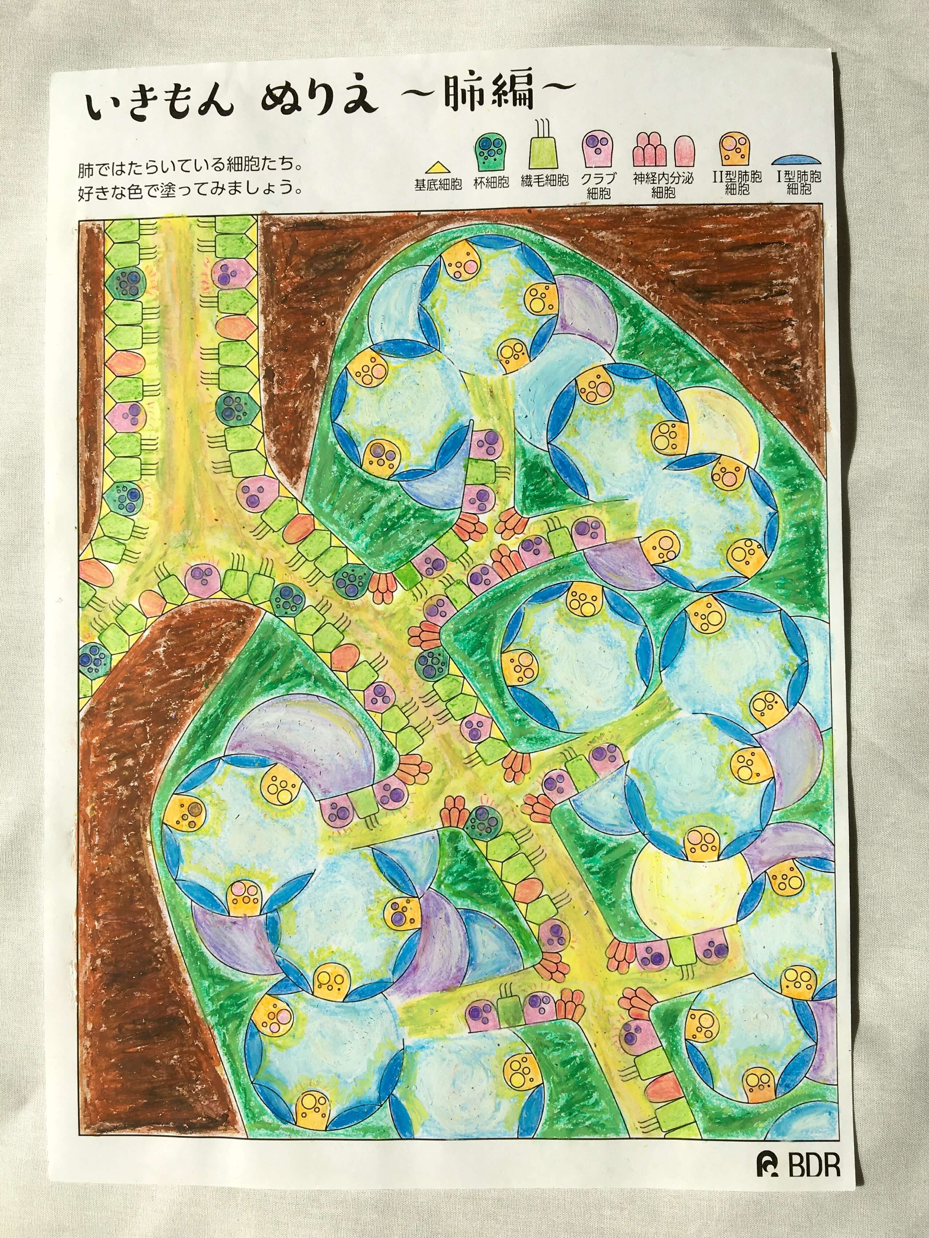 その他の応募作品45