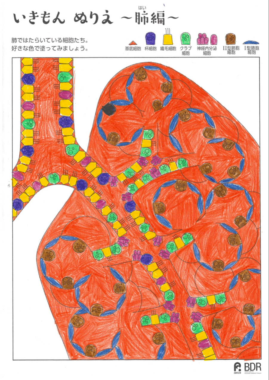 その他の応募作品49