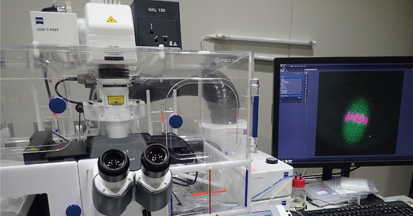 Let's take a look at how chromosomes move in an egg cell【Capacity: 10 people/tour】<br>(Laboratory for Chromosome Segregation)