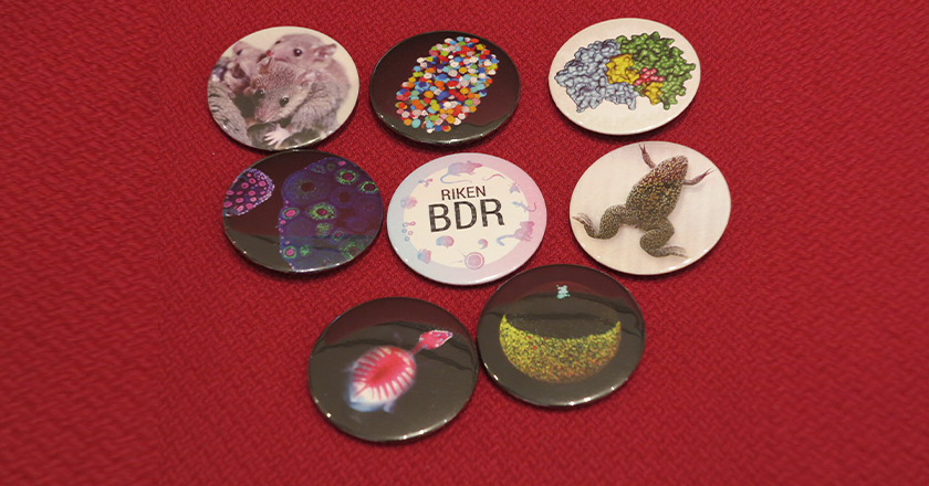 Make your own science-themed button badge!